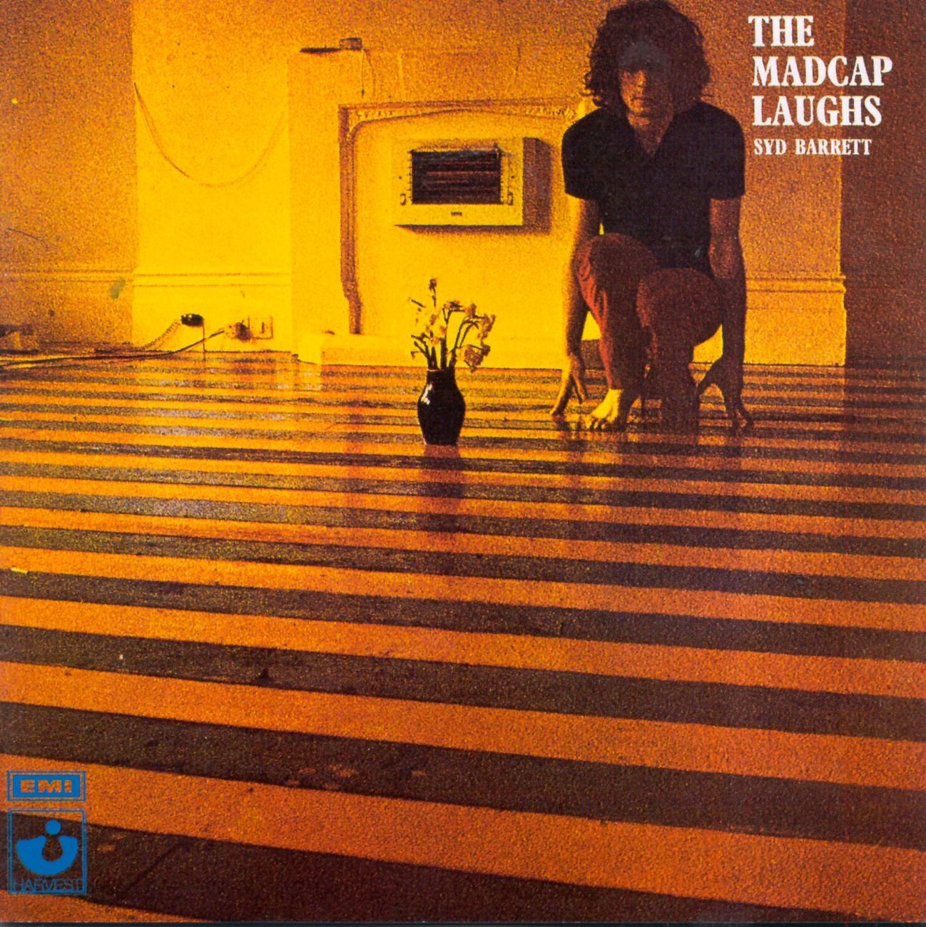 Barrett, Syd - The Madcap Laughs, Vinyl Album